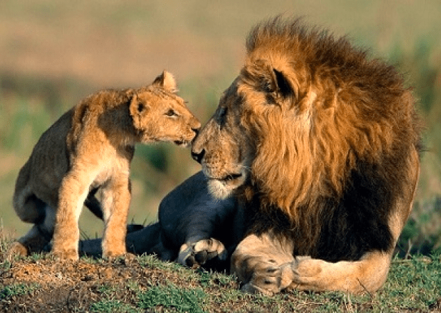 Cómo hacer una oración a Dios correctamente: pide lo que necesitas