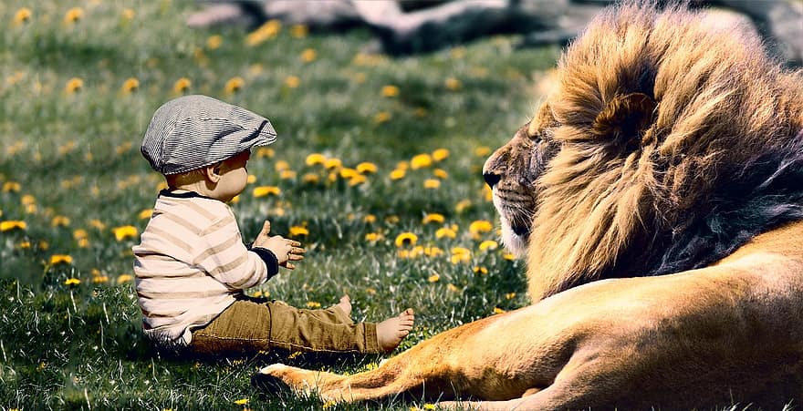 Nuevos cielos y nueva tierra